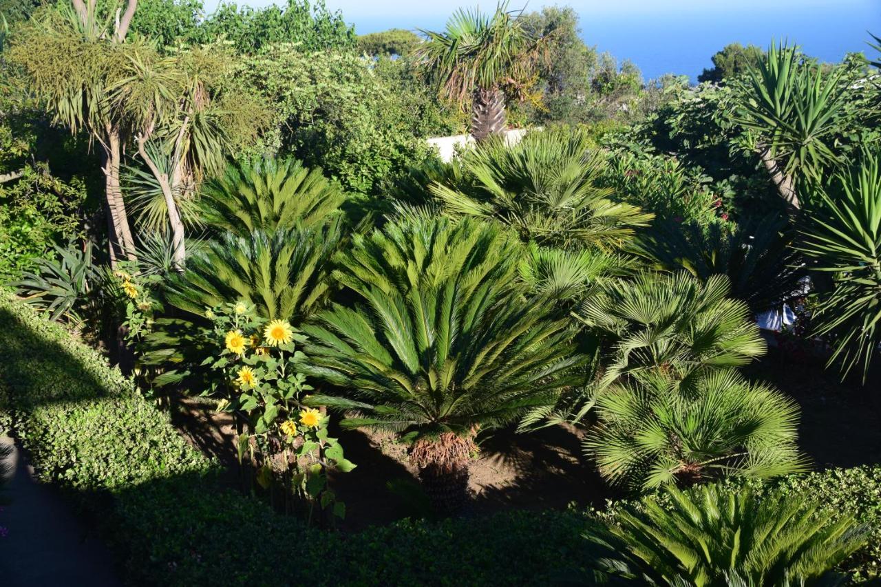 Villa Damecuta B&B Anacapri  Exterior foto